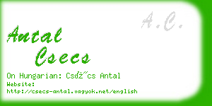 antal csecs business card